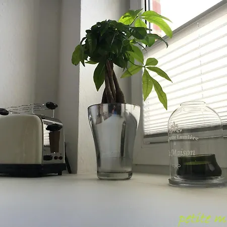 Petite Maison *